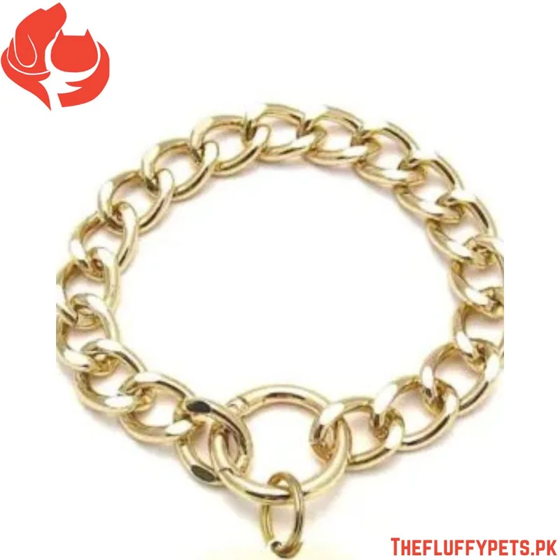 Cat Choke Chain Golden