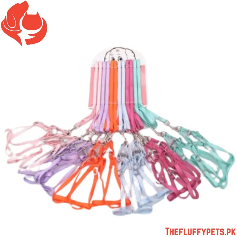 Cat & Puppy Harness Simple