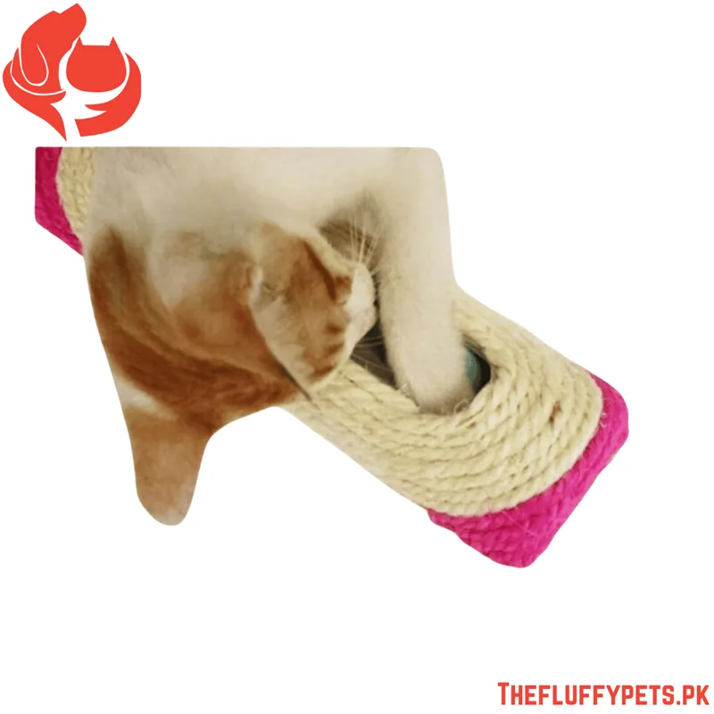 Cat Toys Rolling Sisal Scratch Board Roller with 3 Ball image 2