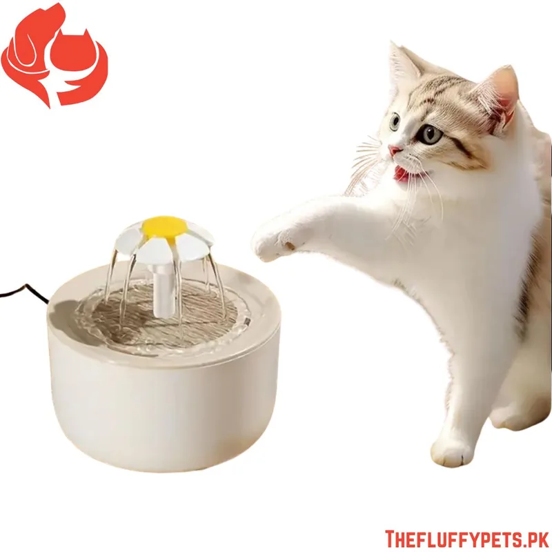 Cat Water Fountain image 3