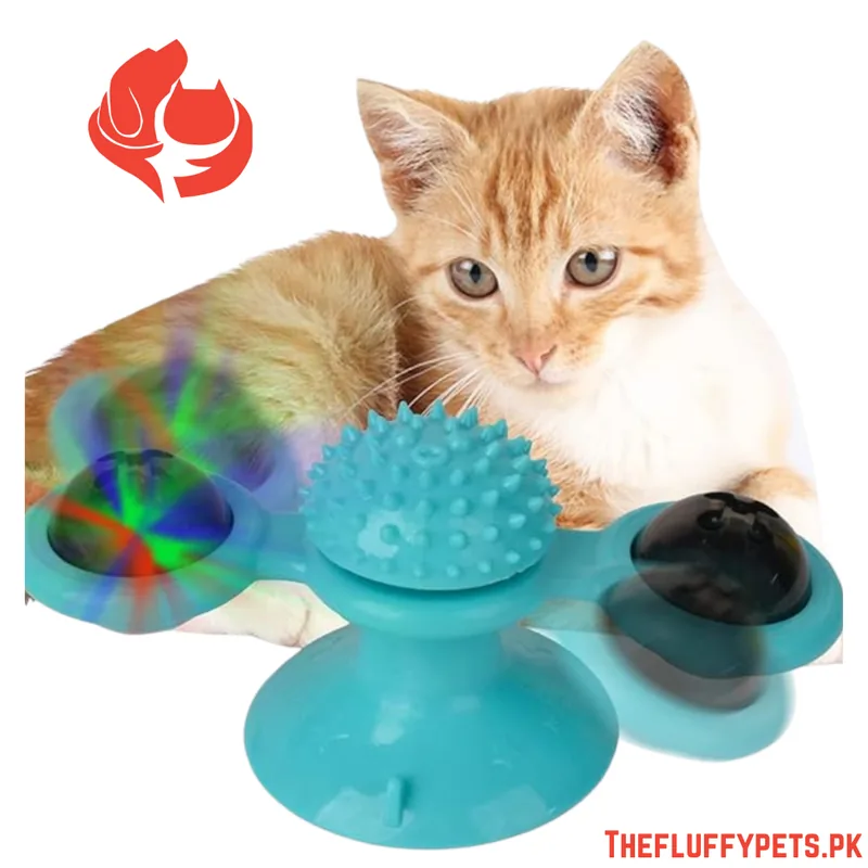 Cat Windmill Toy With Catnip & Light