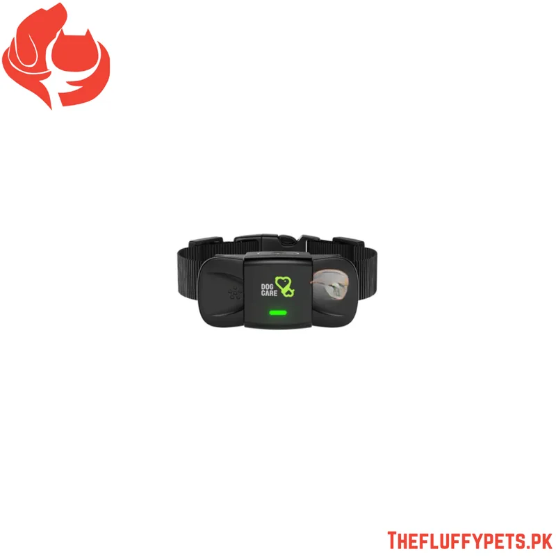 Dog Care Dog Training Collar image 4