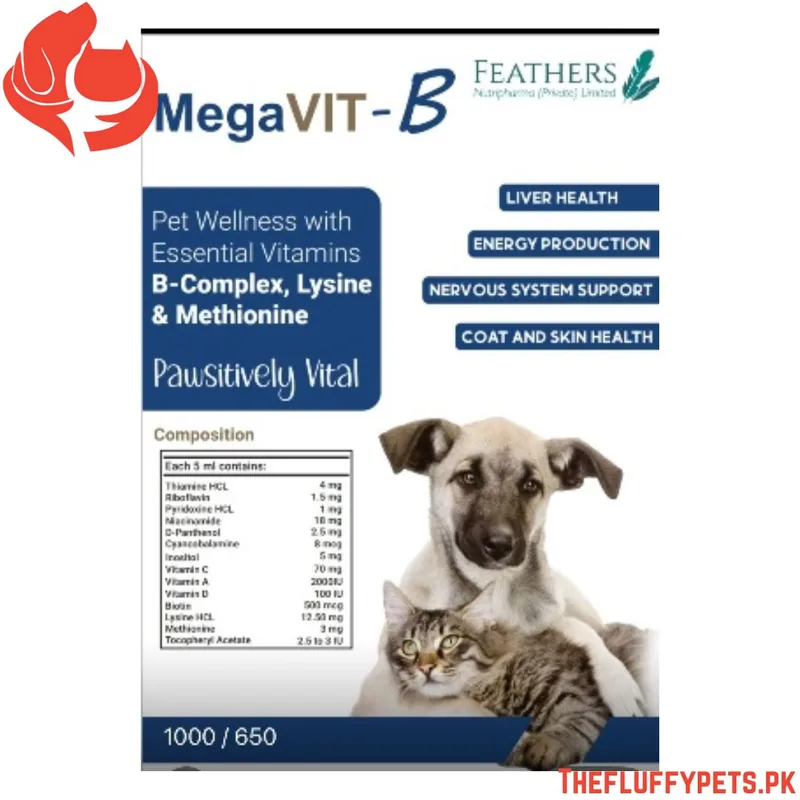 Feathers MegaVIT-B Syrup