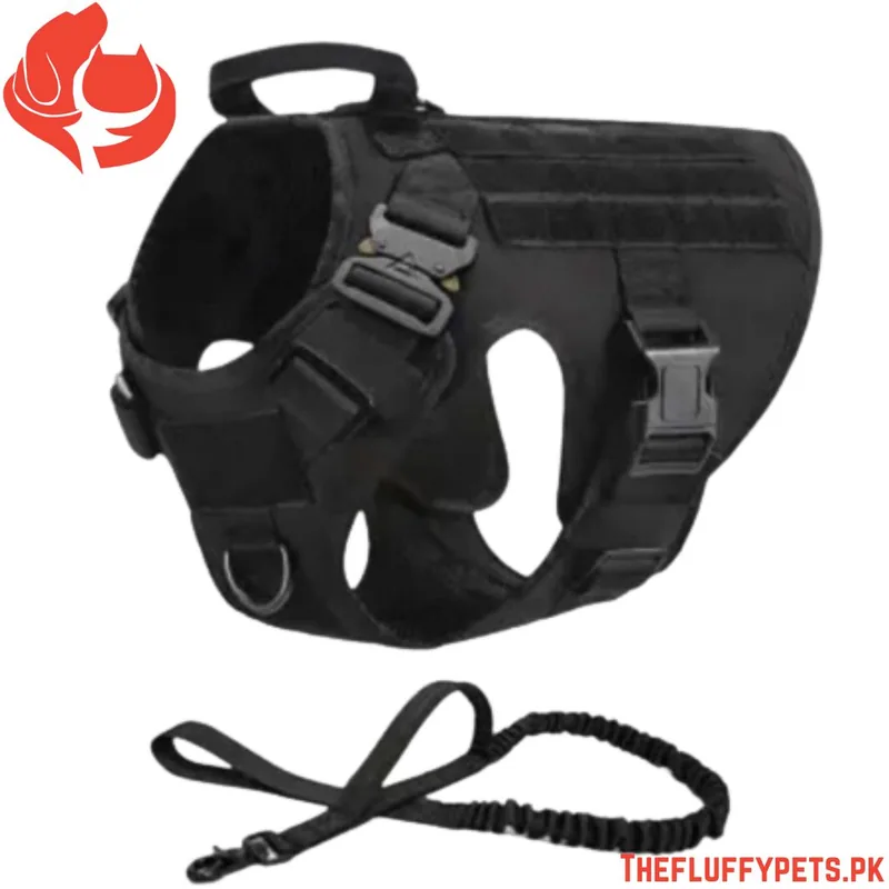 Full Body Security Dog Harness