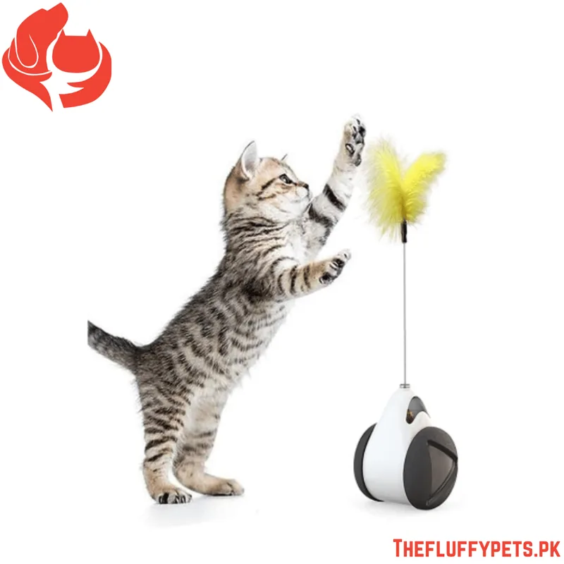 Funny Feather Balance Cat Toy