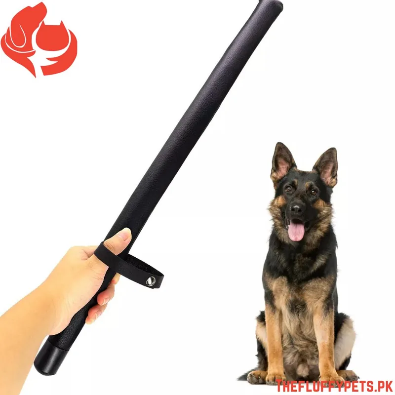 GSD Training Stick