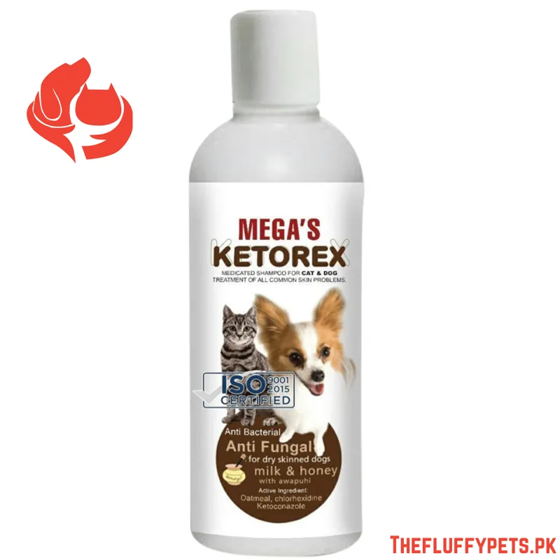 Ketorex Anti Bacterial & Anti Fungal Shampoo