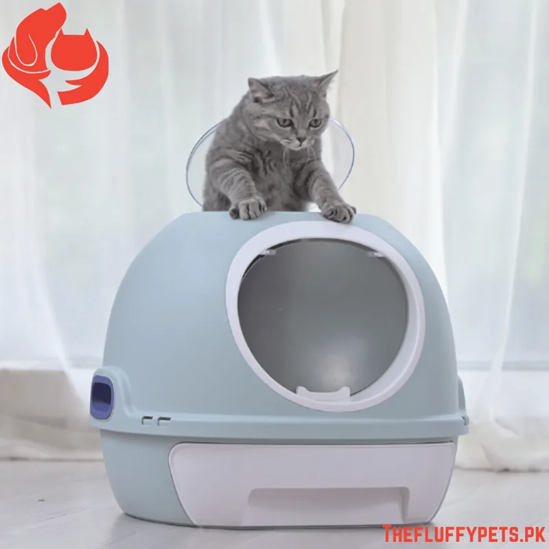 Large Cat Litter Box (Design J) image 3