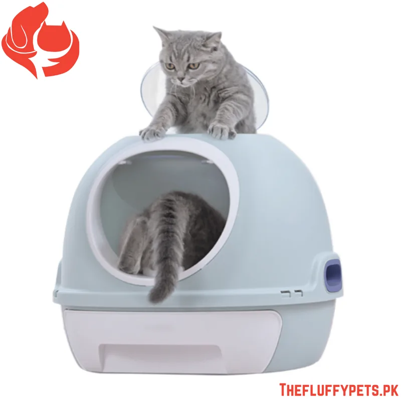 Large Cat Litter Box (Design J) image 5