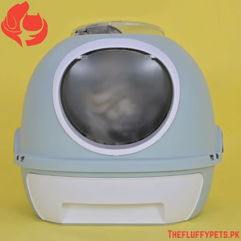 Large Cat Litter Box (Design J) image 6