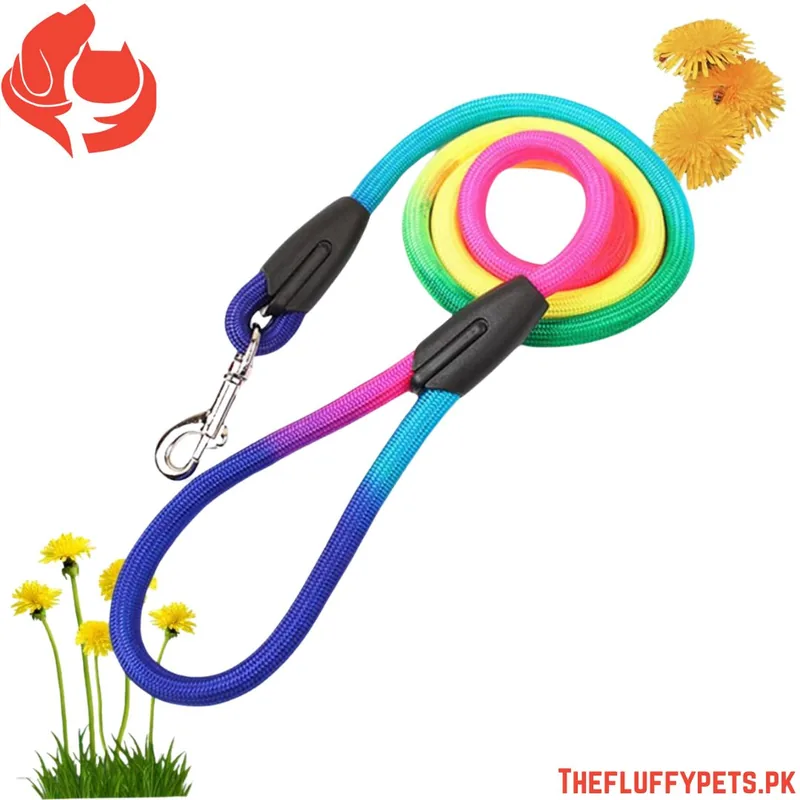 Multi Color Leash