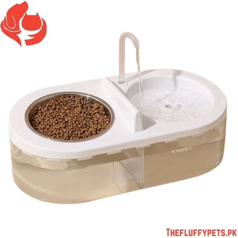 Oval Fountain With Feeding Bowl