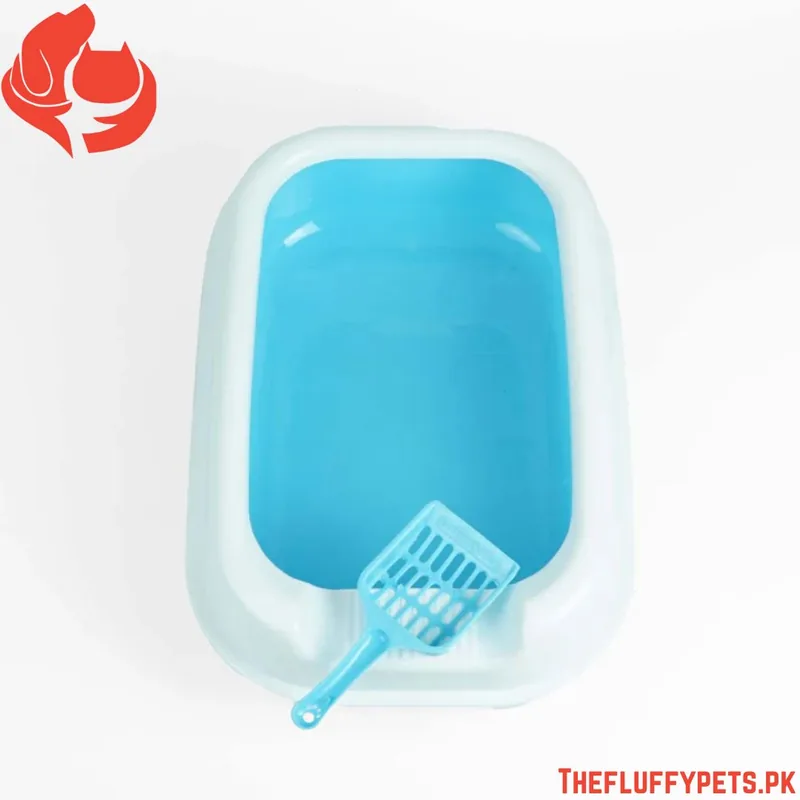 Oval Shape Tray with cover image 2