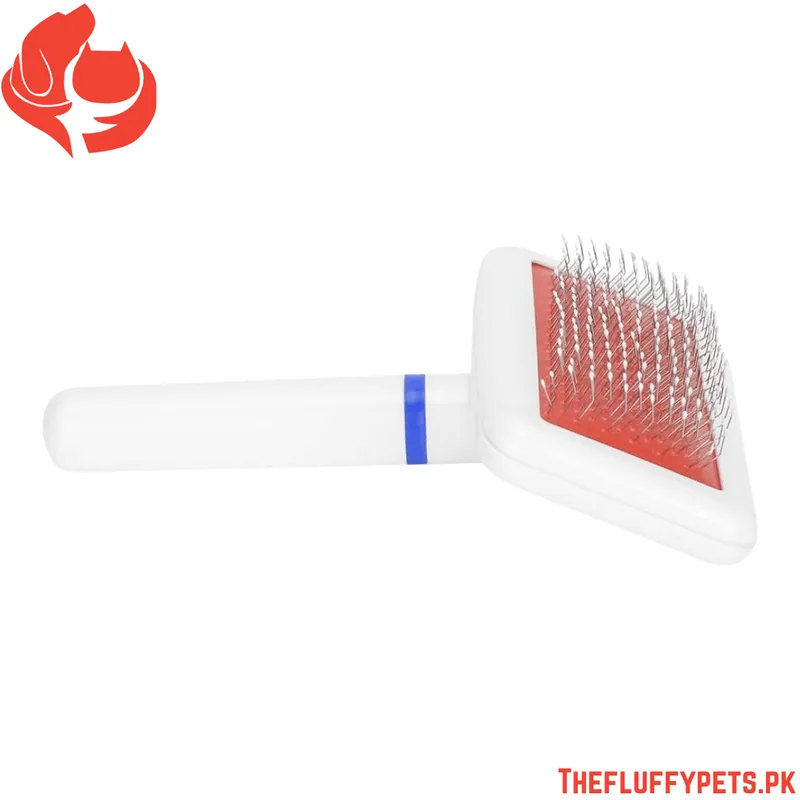 Plastic White Brush (Without Packing)