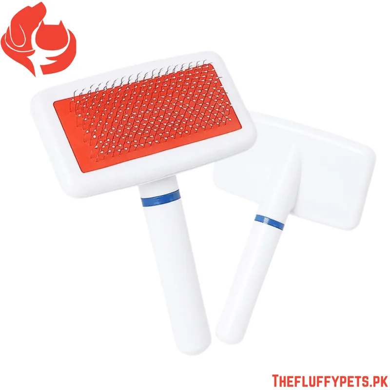 Plastic White Brush in Pack