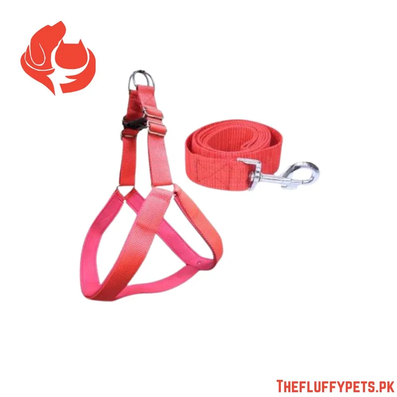 Dog Body Harness With Leash
