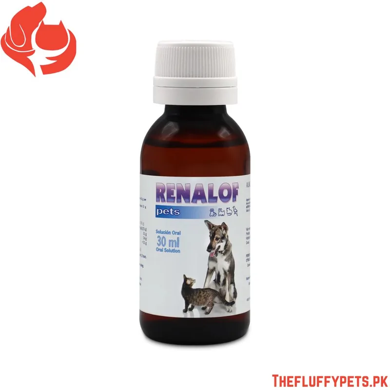 Renalof Pets by Catalysis | Pet Urinary Tract Supplement