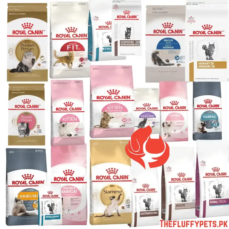 Royal Canin Dry Cat Food