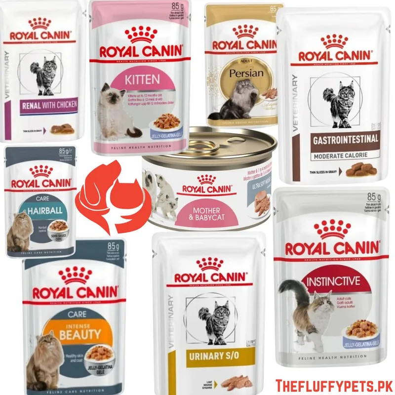 Royal Canin Wet Cat Food