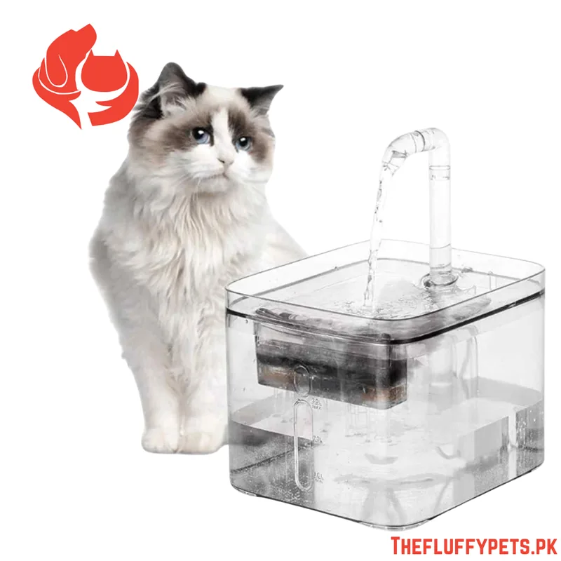 Cat Water Fountain image 7