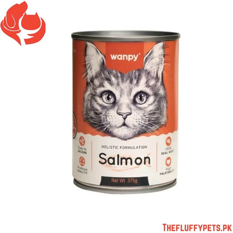 Wanpy Holistic Formulation Cat Can - Salmon (375g)
