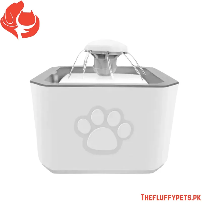 Water Drinking Fountain for Cats and Dogs