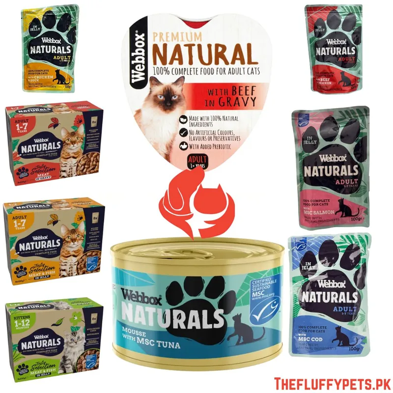 Webbox Naturals Wet Cat Food